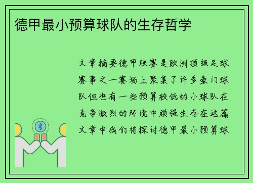 德甲最小预算球队的生存哲学