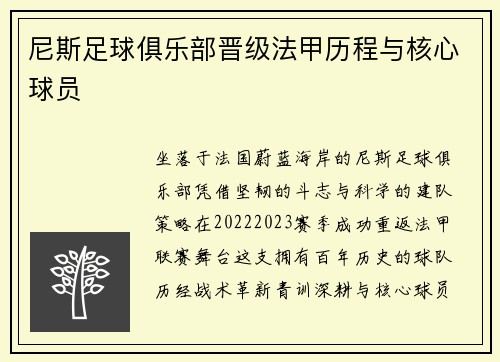尼斯足球俱乐部晋级法甲历程与核心球员